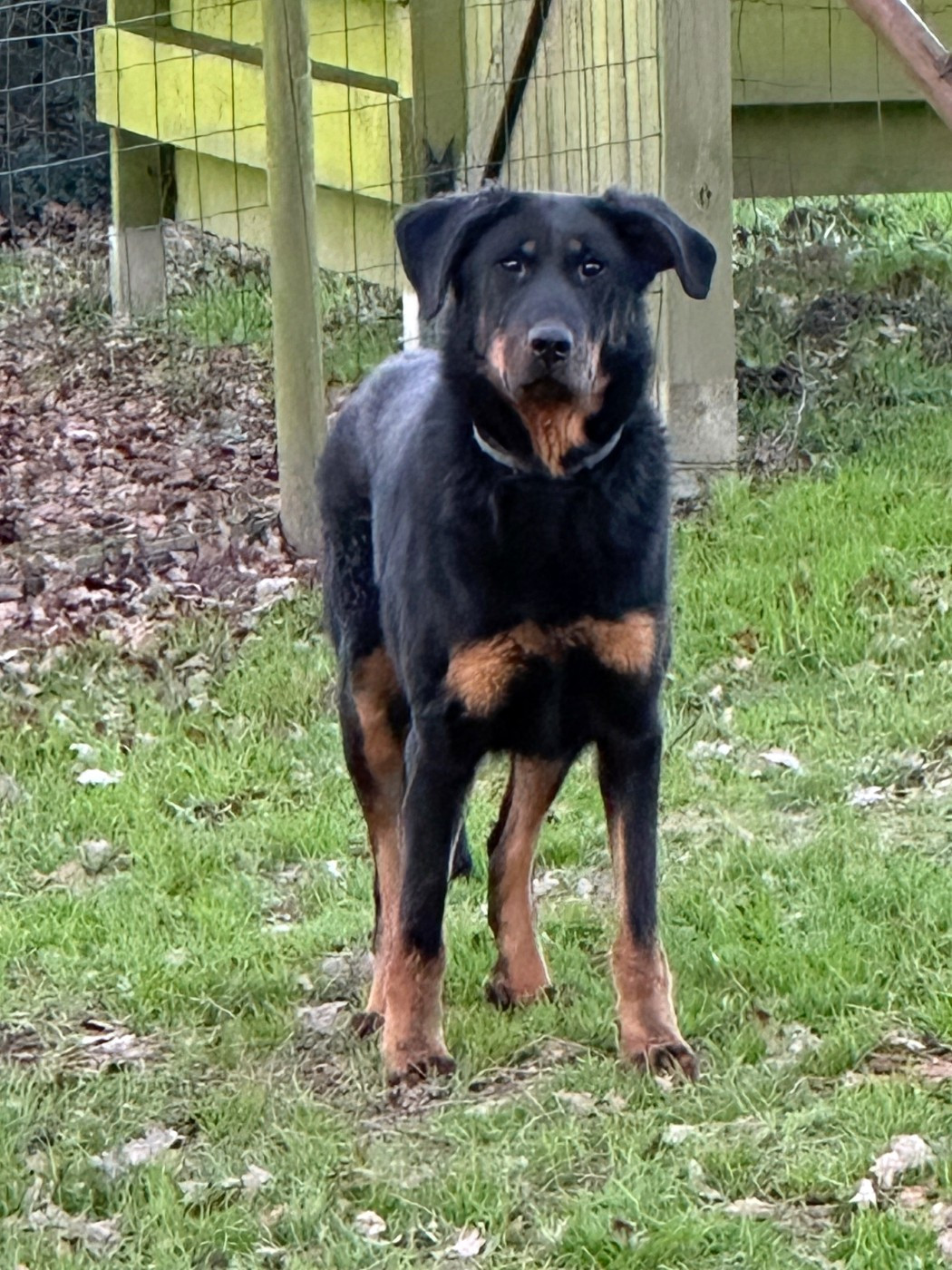 Tenessee des berges de l'Isac