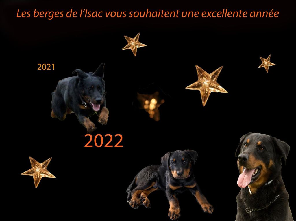 des berges de l'Isac - Tous nos voeux