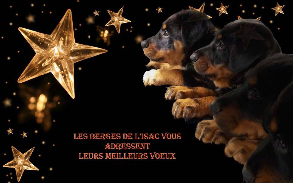 des berges de l'Isac - Meilleurs voeux